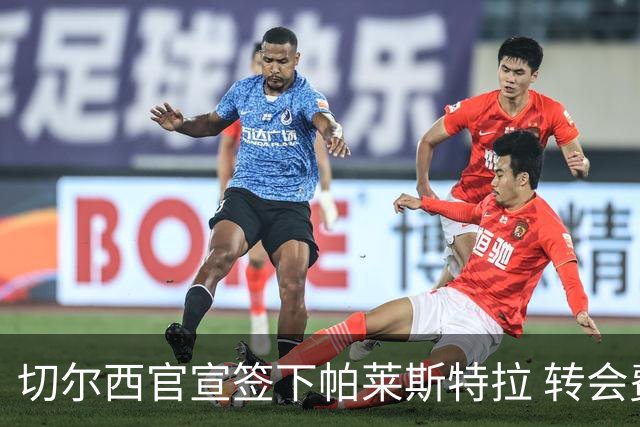 切尔西官宣签下帕莱斯特拉 转会费超5500万欧签约7年