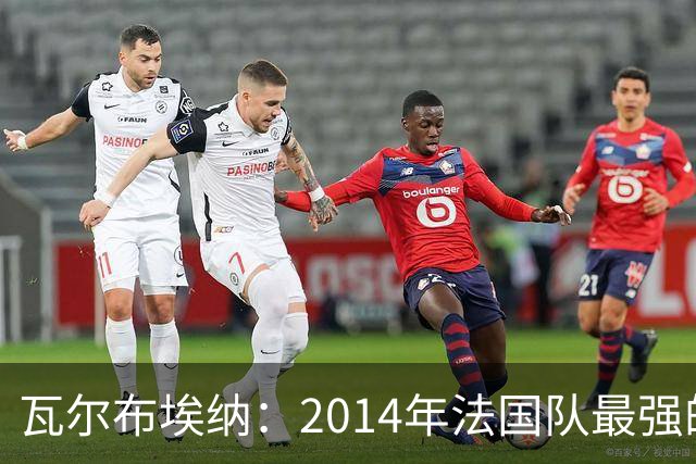 瓦尔布埃纳：2014年法国队最强的是博格巴，最被低估的是马图伊迪
